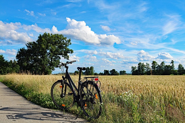 Radtour – Stadtentwicklung und Wohnen in Ahrensburg – was nun?