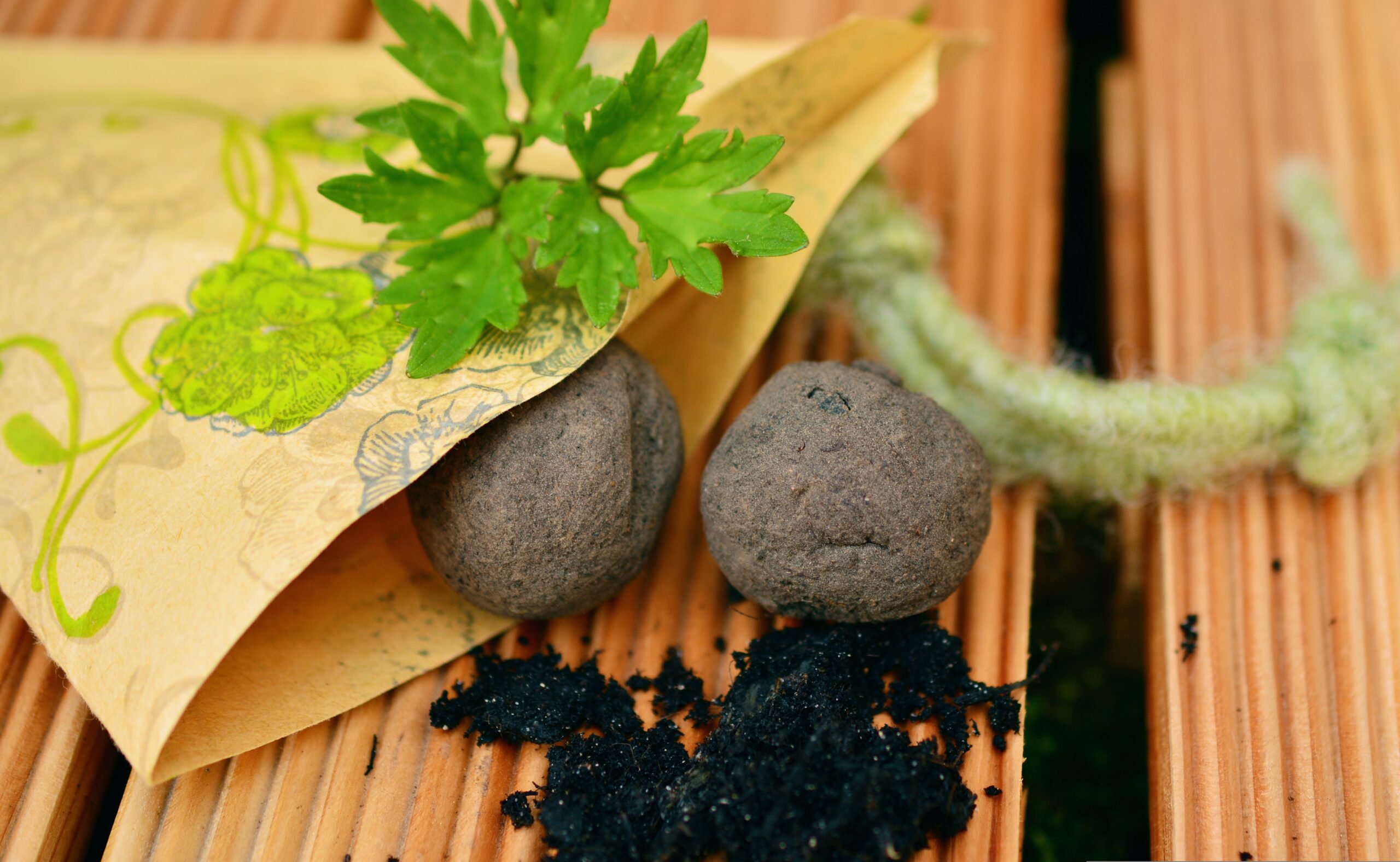 Praktizierter Naturschutz – Hilfe für die Bienen!