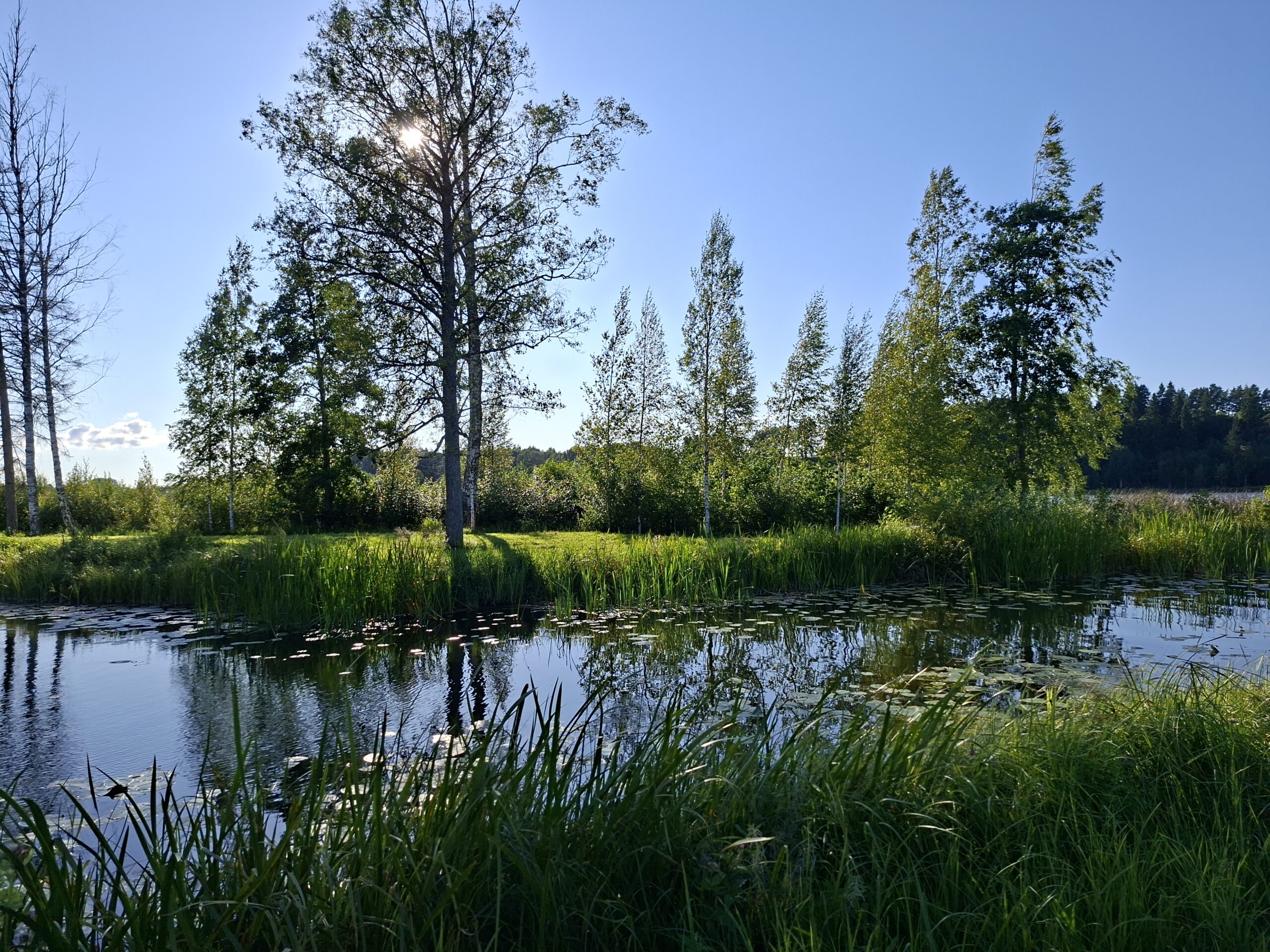 Zu Besuch in Ahrensburgs Partnerstadt Viljandi